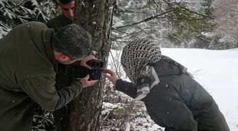 Bolu'da yaban hayvanları için doğaya yem bırakıldı