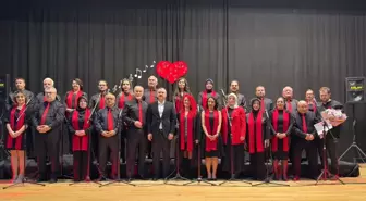 Boyabat'ta 14 Şubat konseri