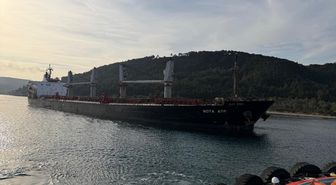 Çanakkale Boğazı'nda makine arızası yaşayan gemi karaya oturdu
