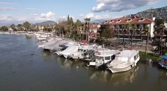 Dalyan Kanalı'nda aşırı yağışlarla su seviyesi 1,5 metre yükseldi