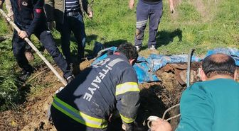Denizli'de foseptik çukuruna düşen inek itfaiye ekiplerince kurtarıldı