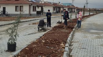 Doğanşehir'de yapımı süren köy konutları alanında peyzaj çalışması yapılıyor
