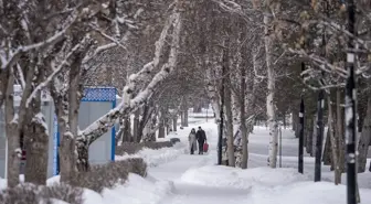 Doğu Anadolu'da 5 ilde kar ve soğuk hava etkili oluyor