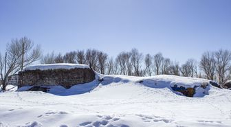 Erzurum, Kars, Ağrı ve Ardahan'da kar etkili oldu