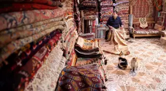Eski halı ve kilimleri onaran Süleyman usta, geri dönüşüme katkı sağlayıp kültürü yaşatıyor