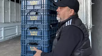 Fenerbahçeli taraftar domates kasalarının üzerine 'N'Golo Kante' yazdırdı