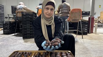 Filistinli yetkililer İsrail hurmalarının Filistin etiketiyle pazarlandığı uyarısında bulundu