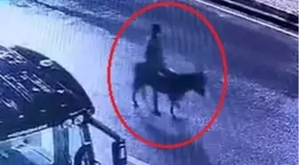 Forkliftle kuyumcu soyup eşekle kaçan şüpheli: Yaşadığım maddi sıkıntılar aklıma geldi