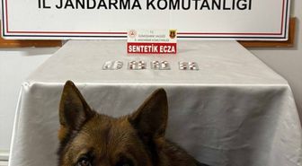 Gümüşhane'deki uyuşturucu operasyonunda 2 şüpheli yakalandı