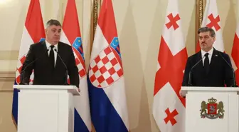 Gürcistan: Yapıcı ve aktif diyalog yoluyla AB ile ilişkileri normalleştirmek mümkün