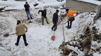 Hakkari'de damı çöken ahırda 5 küçükbaş hayvan telef oldu