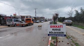 Hatay'da 4 mahalle kuduz nedeniyle karantinaya alındı