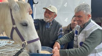 Hippoterapi Uygulama ve Araştırma Merkezi huzurevi sakinlerini ağırladı