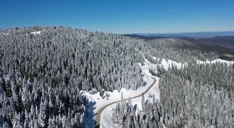 Ilgaz Dağı'nda kar yağışının ardından beyaza bürünen ormanlar dronla görüntülendi