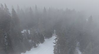 Ilgaz Dağı'nda yoğun sis ve kar yağışı etkili oluyor