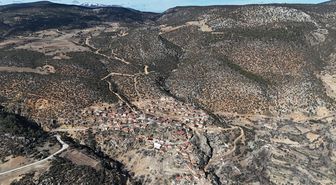 Karaman'da 1931 yaşındaki anıt ağaç asırlara meydan okuyor