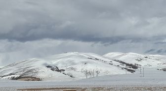 Kars ve Ardahan'da kar yağışı etkili oldu