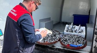 Kırklareli'nde su ürünleri denetimi yapıldı