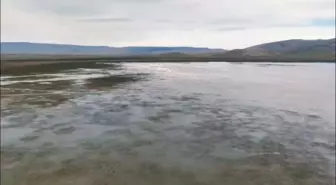 Çavuşçu Gölü'nde Su Sevinci: 3 Milyon Metreküp Su Birikti