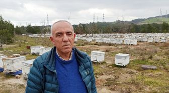 Lapseki Arıcılar Birliği Başkanı Gün'den meyve üreticilerine 'arıları koruyun' çağrısı