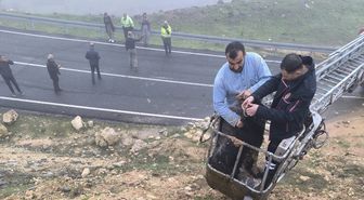 Mardin'de çamura saplanan 2 keçiyi itfaiye kurtardı