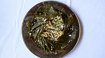 MEMLEKET SOFRASI - Burdur sarma aşı