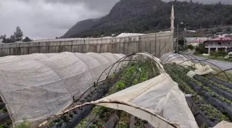Mersin'de sağanak ve şiddetli rüzgar etkili oldu