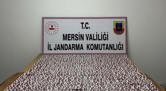 Mersin'de uyuşturucu ticareti yaptığı iddiasıyla yakalanan şüpheli tutuklandı