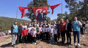 Muğla'da yanan alanlara fidan dikildi