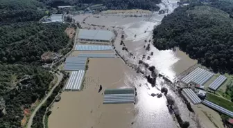 Muğla ile Antalya'da su basan seralar havadan görüntülendi