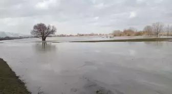Muş'ta su altında kalan tarım arazilerinde inceleme yapıldı