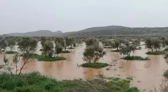 Osmaniye'de sağanak nedeniyle bazı evleri ve tarım arazilerini su bastı