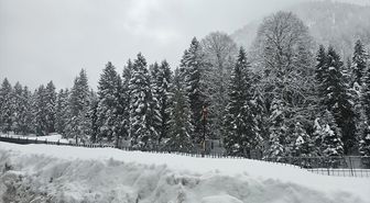 Rize ve Ordu'da kar etkili oldu