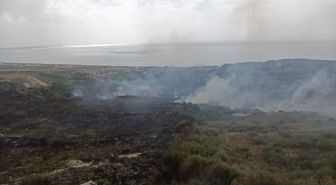 Samandağ ilçesinde makilik alanda çıkan yangın söndürüldü