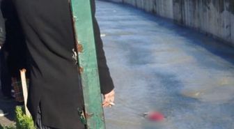 Samsun'da derede erkek cesedi bulundu