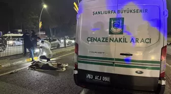 Şanlıurfa'da otomobilin çarptığı yaya hayatını kaybetti