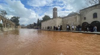 Şanlıurfa'da sağanak Balıklıgöl'ün suyunu bulandırdı