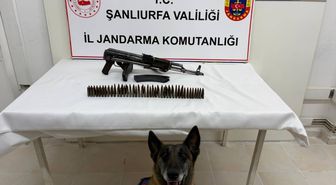 Şanlıurfa'da silah kaçakçılığı operasyonunda 1 şüpheli yakalandı