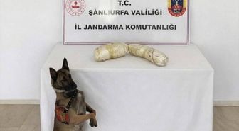 Şanlıurfa'da uyuşturucu operasyonunda 2 şüpheli yakalandı