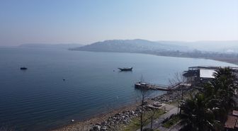 Sapanca Gölü çevresindeki etnobotanik hafıza 112 bitkiyle kayıt altına alındı