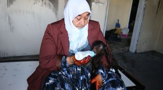 Şehit annesi biberonla beslediği 'yavrularının' evindeki yangından kurtarılmasıyla teselli buldu