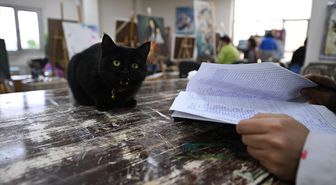 Sevimli kedi 'Şükufe' kursiyerlerin neşe kaynağı oldu