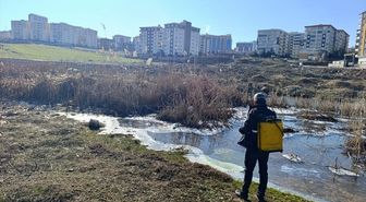 Siirt'te larvalara yönelik ilaçlama yapıldı