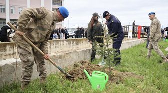 Sinop'ta toprakla buluşturulan 5 bin 700 fidan geleceğe nefes olacak