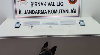 Şırnak'ta düzenlenen kaçakçılık ve asayiş operasyonlarında 7 şüpheli tutuklandı