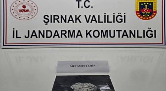 Şırnak'ta kaçakçılık ve asayiş operasyonlarında 1 kişi tutuklandı