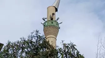 Tarsus ilçesinde şiddetli rüzgar nedeniyle cami minaresi zarar gördü