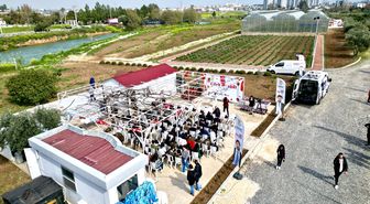 Tarsus ilçesinde topraksız tarım yöntemiyle yetiştirilen çilekler hasat edildi