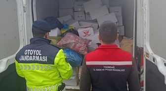 Tekirdağ'da 2 ton sağlıksız Antep fıstığı imha edildi
