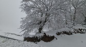 Tekirdağ ve Kırklareli'nin yüksek kesimlerinde kar etkili oluyor
